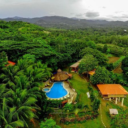 Al Hamra Jungle Resort (Adults Only) Puerto Princesa Eksteriør billede